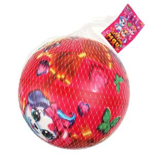 Мяч пвх питомцы, 23 см, полноцвет, в сетке ИГРАЕМ ВМЕСТЕ в кор.144шт