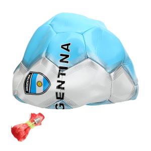 Мяч футбольный argentina пвх 1 слой, 5 р., камера рез., маш.обр. NEXT в кор.50шт