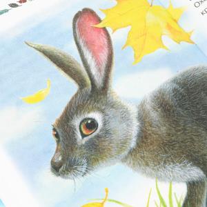   .  . .  . 125195 . 7. 96 .   .24