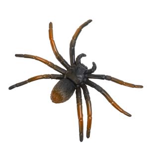     6 .  .    .144