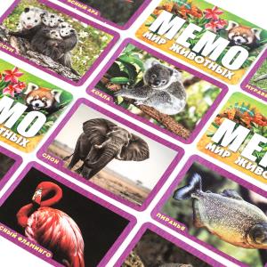 ��� ��������. ����. 170�125�40��. ����� ���� � ���.50��