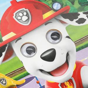  .   . 160220 . 8 .   .50