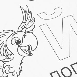 . . 214290 . . 16 .   .50