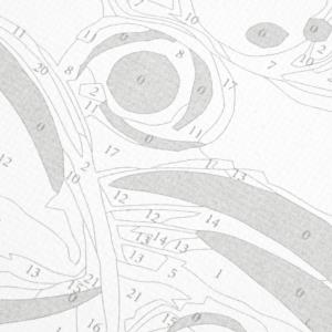 ����� �� ���������� 30x40 � ������� ��� � �������� ������ ��� � ���.24��