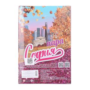 ����� 29 ��, ���� � ���� ���������, � ���. ������� � ���.24��