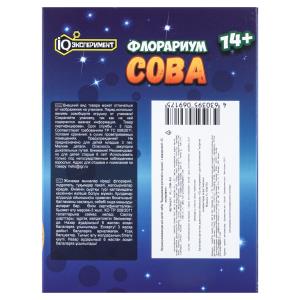 ������� ����� ����������� �������� ��������� ���� IQ ����������� � ���.50��